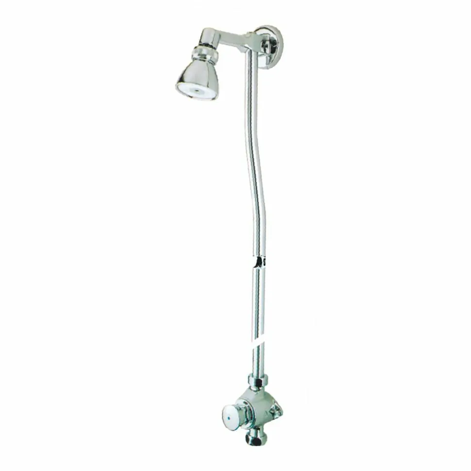 Grifo Temporizado Ducha Vista Un Agua Accionamiento Mediante Pulsador. PRESTO Conjunto 65 Con Rociador Orientable – 65050 – Presto Iberica
